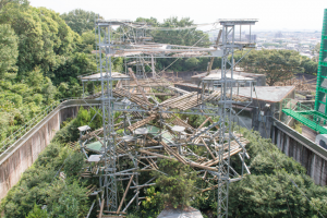 13人のチンパンジーが暮らす京都大学霊長類研究所の屋外放飼場(愛知県犬山市)